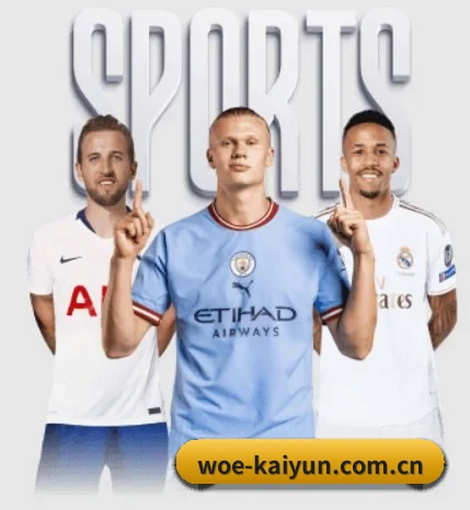 五大服务分区,信息按项目分类 - 多运动项目内容板块(kaiyun)